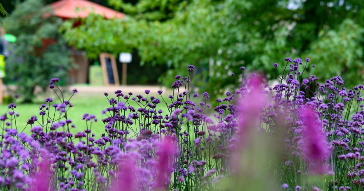 Otto Muller Garten Und Landschaftsbau Idee Plan Garten